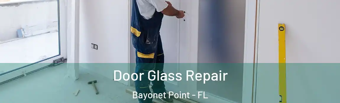  Door Glass Repair Bayonet Point - FL