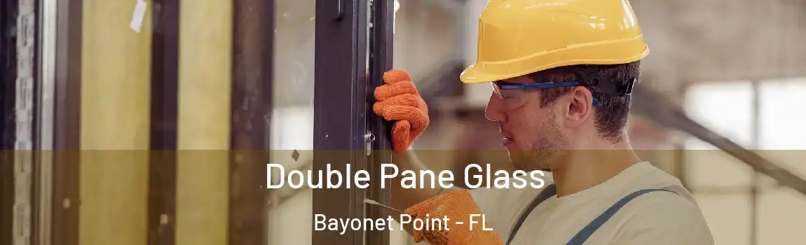  Double Pane Glass Bayonet Point - FL