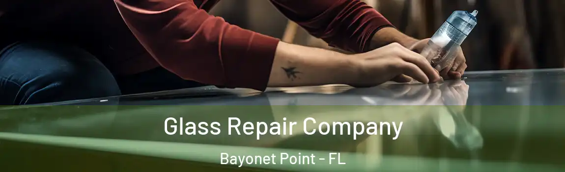  Glass Repair Company Bayonet Point - FL