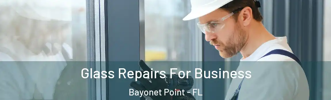  Glass Repairs For Business Bayonet Point - FL