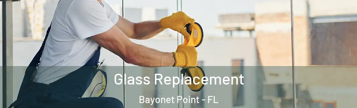  Glass Replacement Bayonet Point - FL