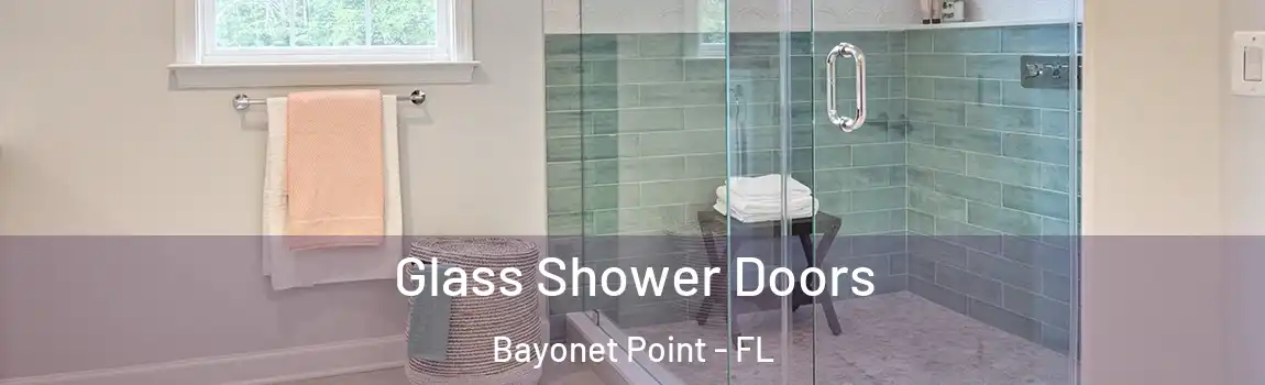  Glass Shower Doors Bayonet Point - FL