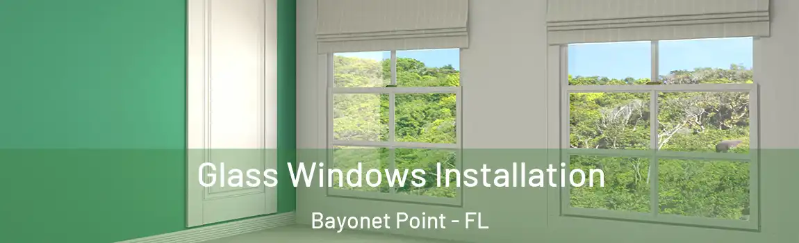  Glass Windows Installation Bayonet Point - FL