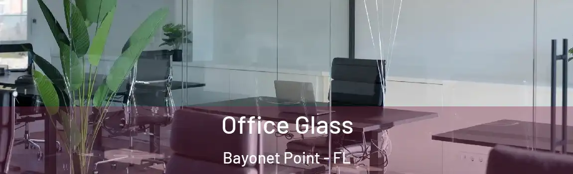  Office Glass Bayonet Point - FL