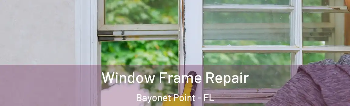  Window Frame Repair Bayonet Point - FL