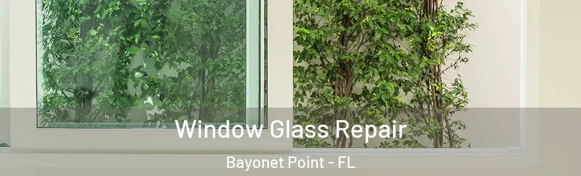  Window Glass Repair Bayonet Point - FL