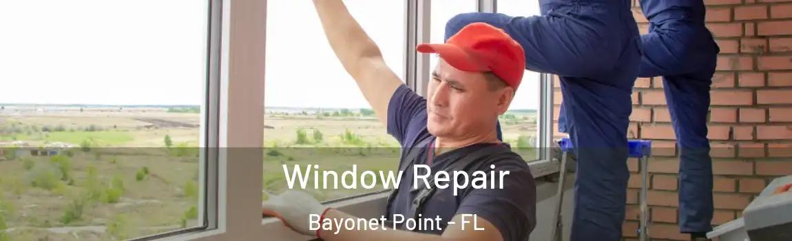  Window Repair Bayonet Point - FL