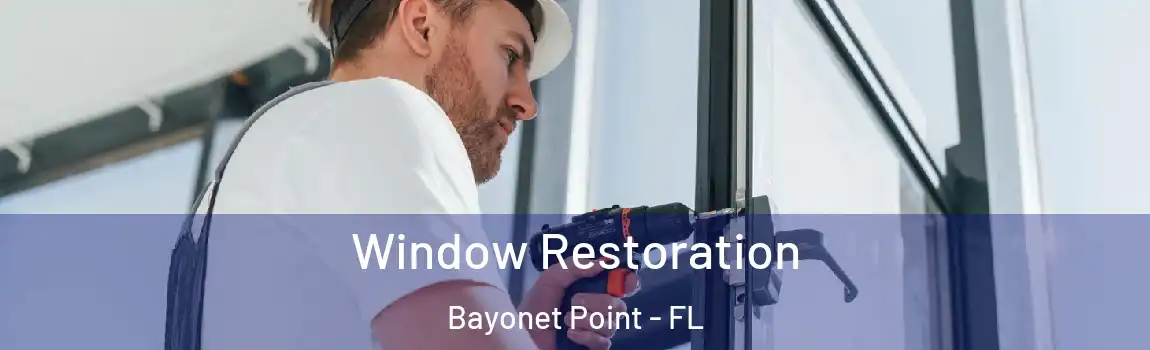  Window Restoration Bayonet Point - FL