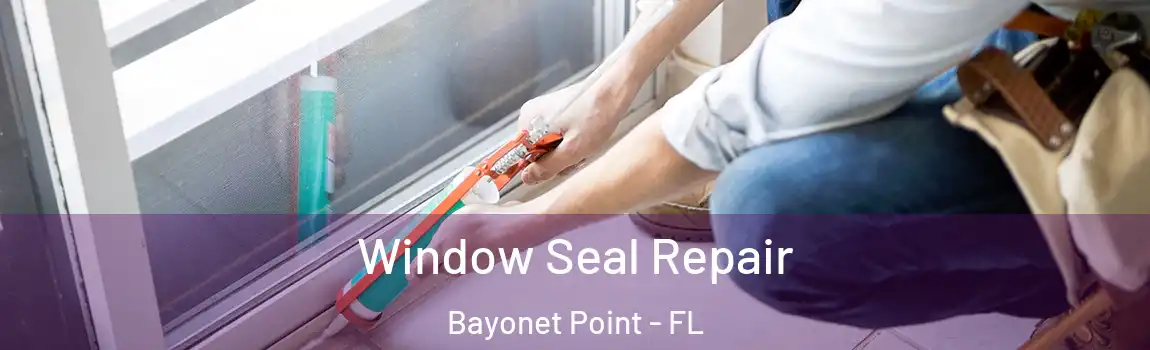  Window Seal Repair Bayonet Point - FL